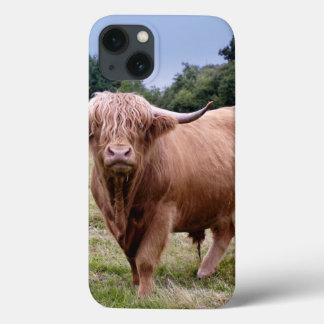 Highland Cow iPad Case