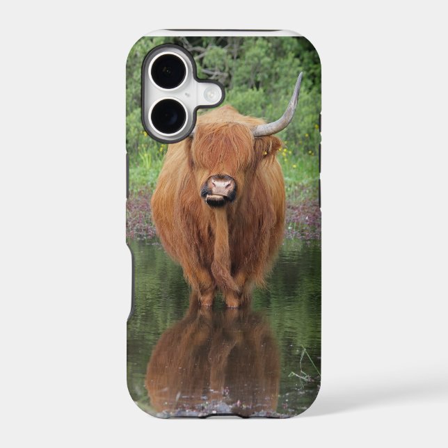 Highland cow iPhone 5 case (Back)