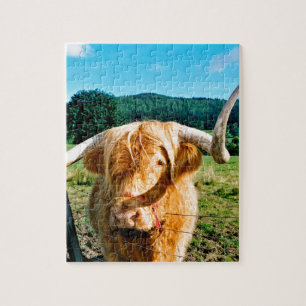 Highland cow jigsaw puzzle