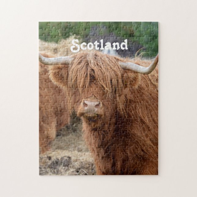 Highland Cow Jigsaw Puzzle (Vertical)