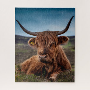 Highland Cow Jigsaw Puzzle