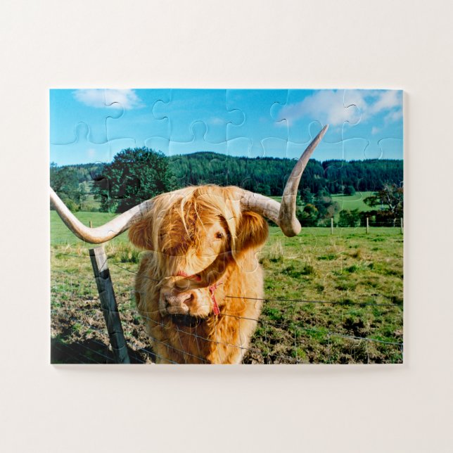Highland cow jigsaw puzzle (Horizontal)