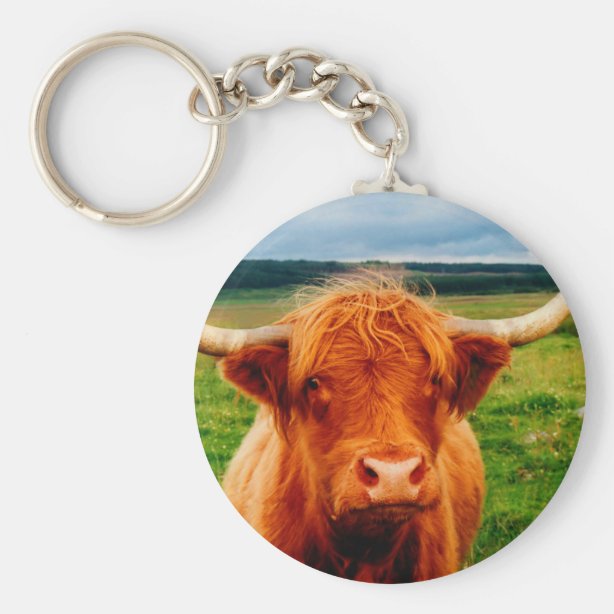 Highland Cow Gifts & Gift Ideas Zazzle UK