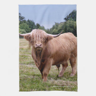 Highland Cow Kitchen Towel