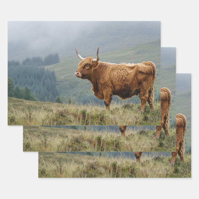 Highland Cow Misty Morning Decoupage Wrapping Paper Sheet (Set)
