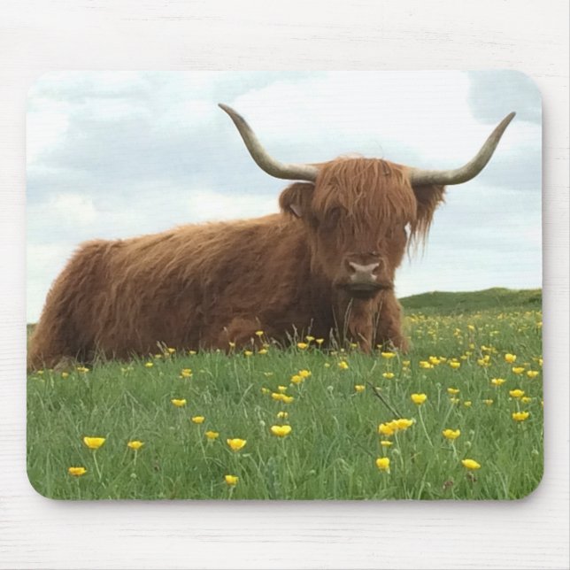 Highland Cow Mouse Mat (Front)
