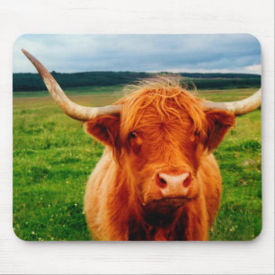 Highland Cow Mouse Mat