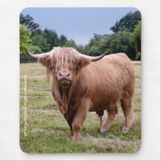Highland Cow Mousemat