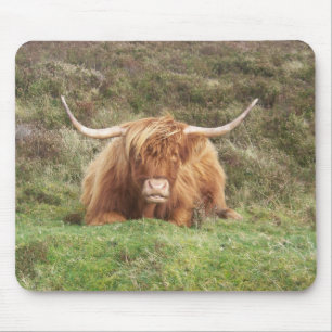 Highland cow on Dartmoor Mouse Mat