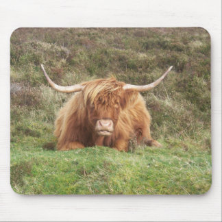 Highland cow on Dartmoor Mouse Mat