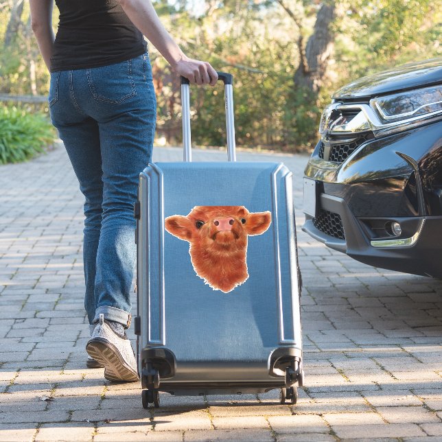 Highland Cow Oversized T-Shirt (Suitcase Insitu)