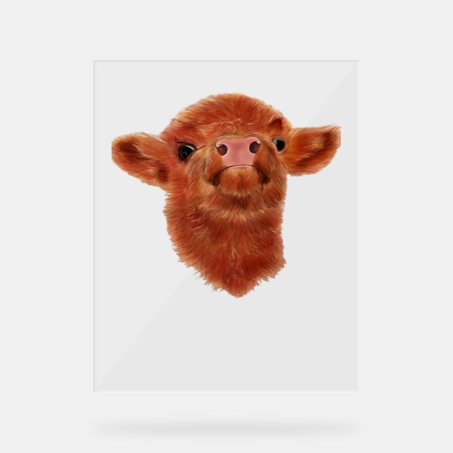 Highland Cow Oversized T-Shirt Acrylic Sign (Front)