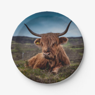 Highland Cow Paper Plate