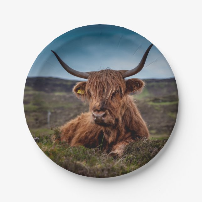 Highland Cow Paper Plate (Front)