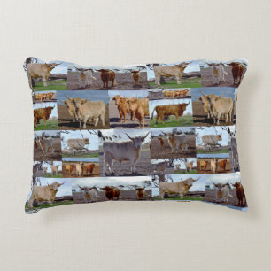 Highland Cow Photo Collage, Decorative Cushion