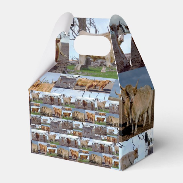Highland Cow Photo Collage,  Favour Box (Front Side)
