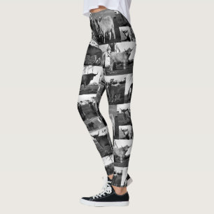 Highland Cow Photo Collage In Black And White, Leggings