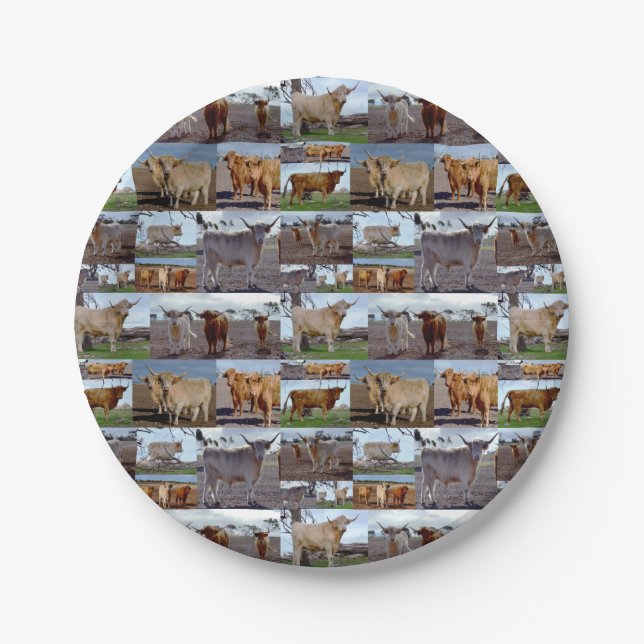Highland Cow Photo Collage, Paper Plates (Front)