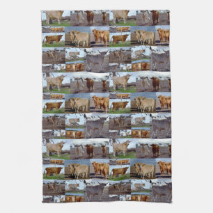 Highland Cow Photo Collage, Tea Towel