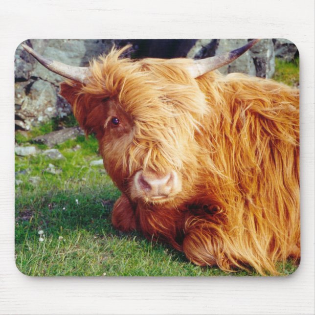 Highland Cow Photo Mouse Mat (Front)