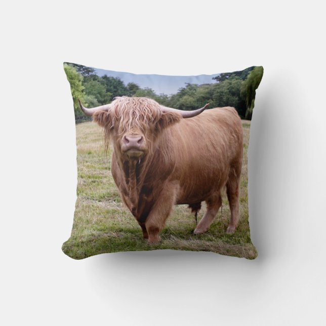Highland Cow Pillow (Front)