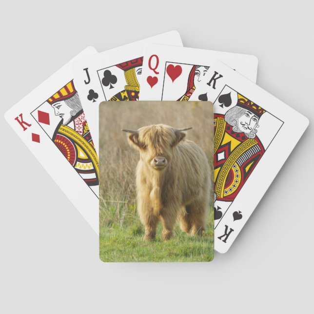 Highland Cow Playing Cards (Back)