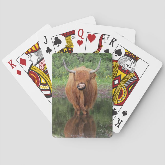 Highland cow playing cards (Back)
