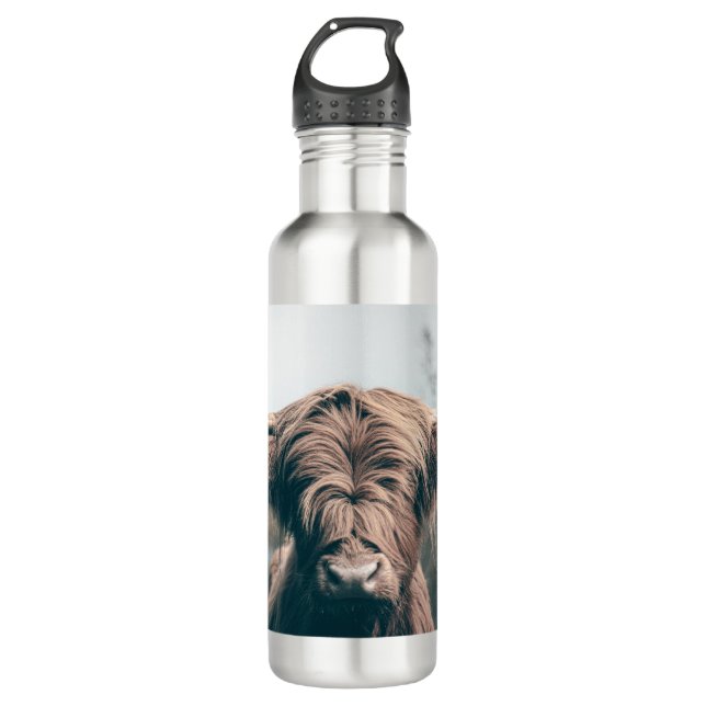 Highland cow portrait 710 ml water bottle (Front)