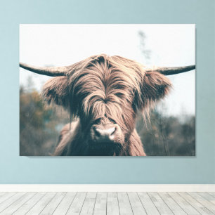 Highland cow portrait canvas print