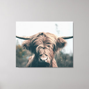 Highland cow portrait canvas print