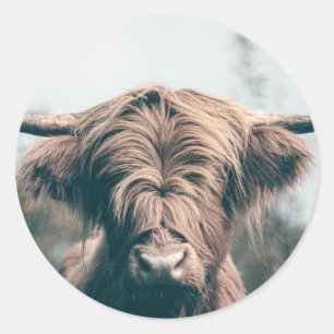Highland cow portrait classic round sticker