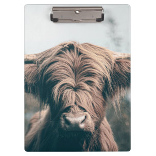 Highland cow portrait clipboard