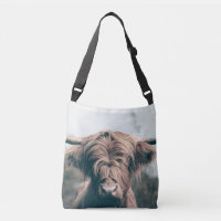 Highland cow portrait