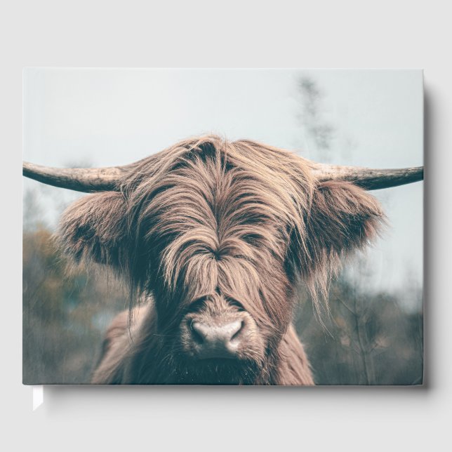 Highland cow portrait guest book (Front)