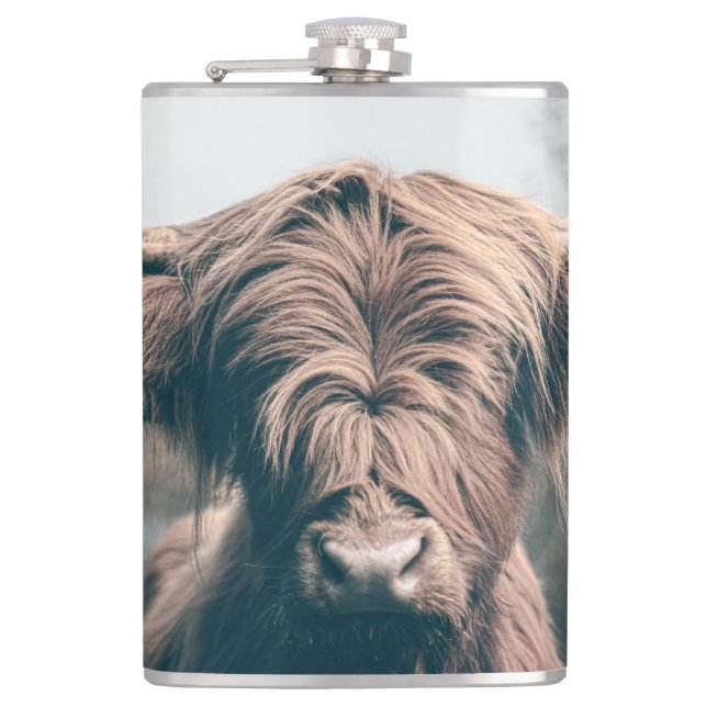 Highland cow portrait hip flask (Front)