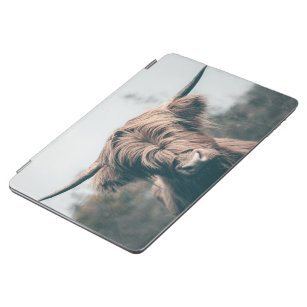 Highland cow portrait iPad air cover