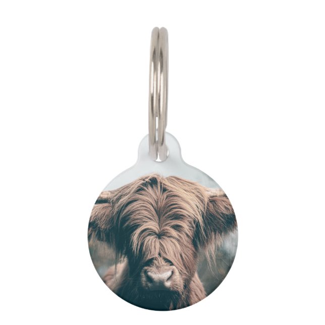 Highland cow portrait pet tag (Front)