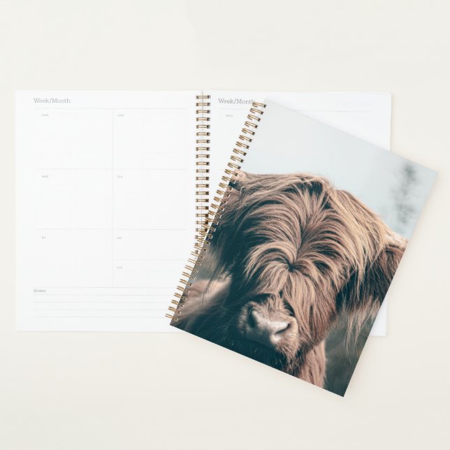 Highland cow portrait planner (Display)