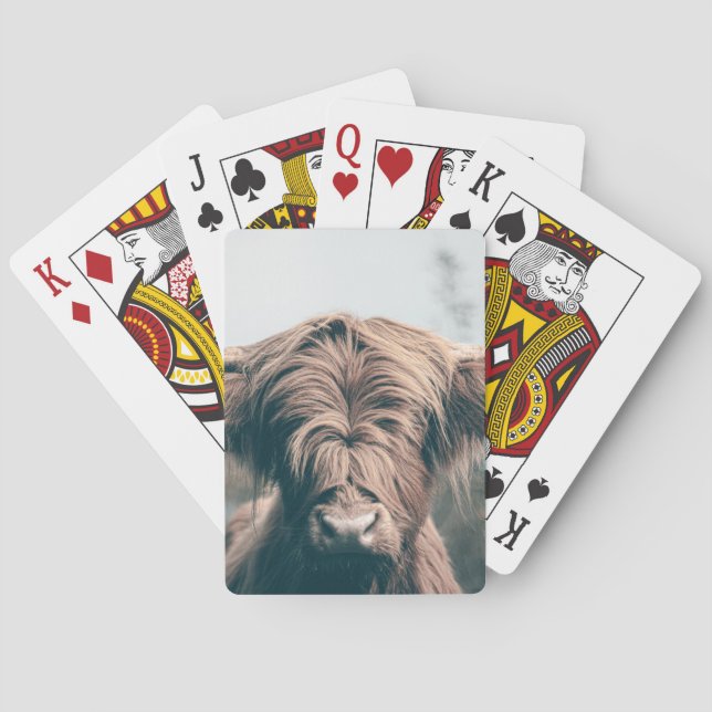 Highland cow portrait playing cards (Back)