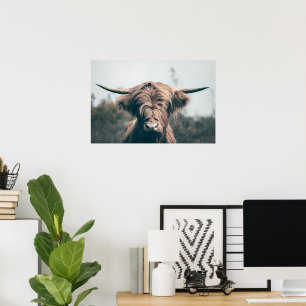 Highland cow portrait poster
