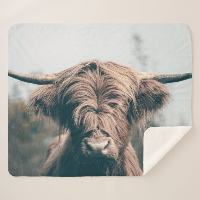 Highland cow portrait sherpa blanket (Front (Horizontal))