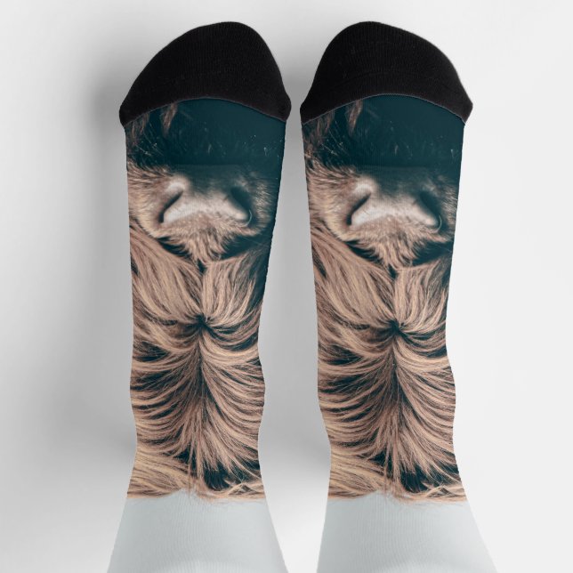 Highland cow portrait socks (Top)