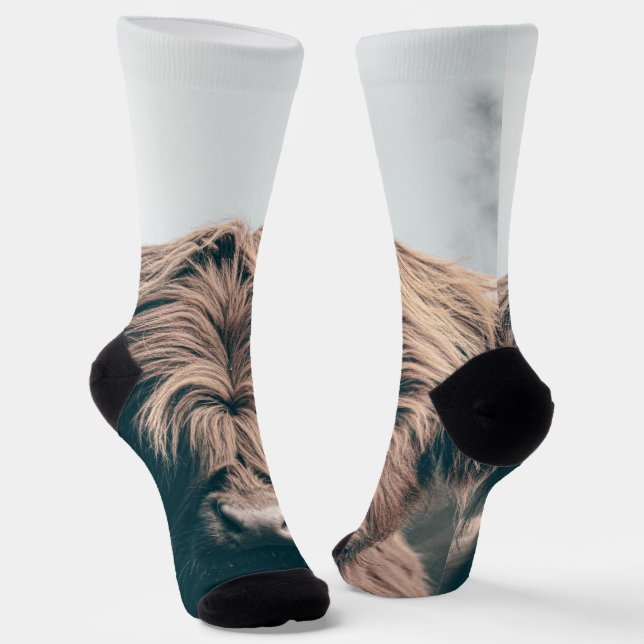 Highland cow portrait socks (Angled)