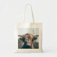 Highland cow portrait