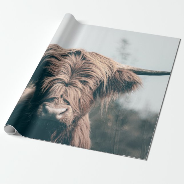 Highland cow portrait wrapping paper (Unrolled)