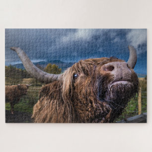Highland Cow, Scotland Jigsaw Puzzle