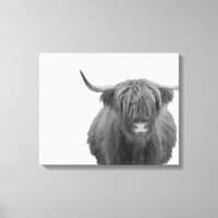 Highland Cow Scotland Rustic Black White