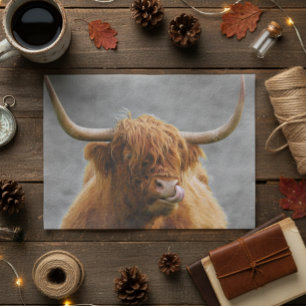 Highland Cow Scotland Rustic Black White   Tissue Paper