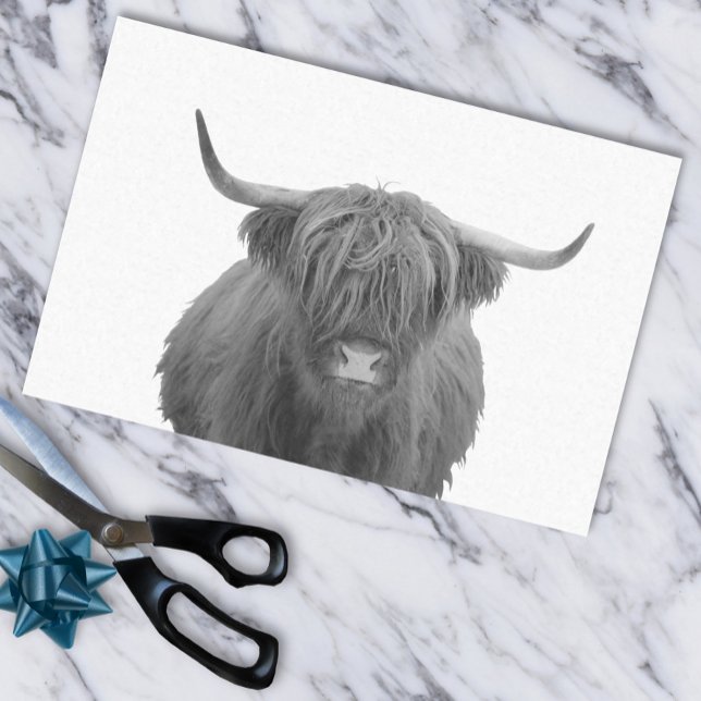 Highland Cow Scotland Rustic Black White  Tissue Paper (Creator Uploaded)