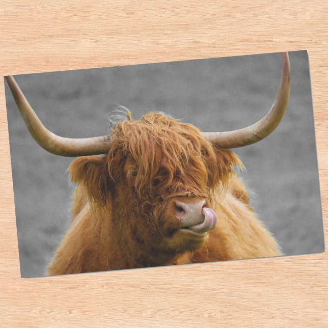 Highland Cow Scotland Rustic Black White   Tissue Paper (Creator Uploaded)